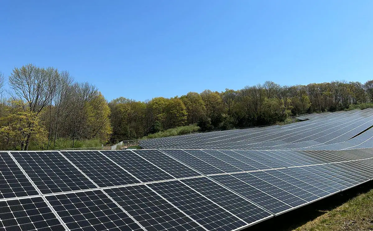 Solar panels in field