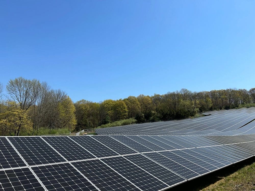 Rows of solar panels in a field.