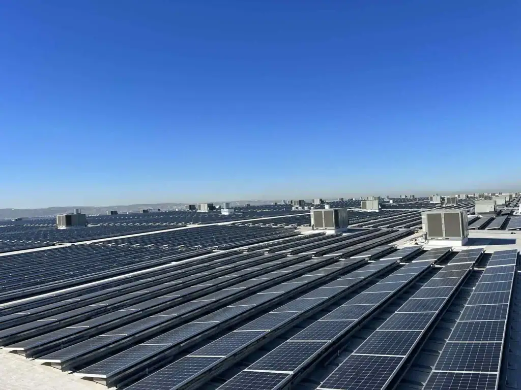5. 4 mw san diego ca