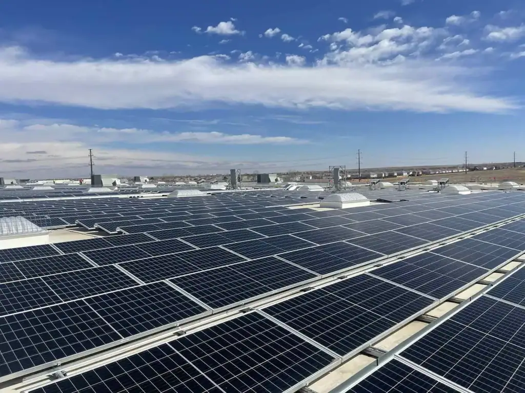 5mw denver co