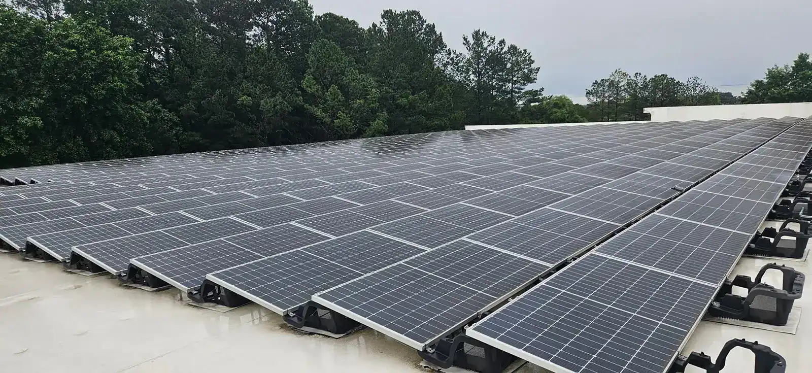 Ess-alpharetta-georgia