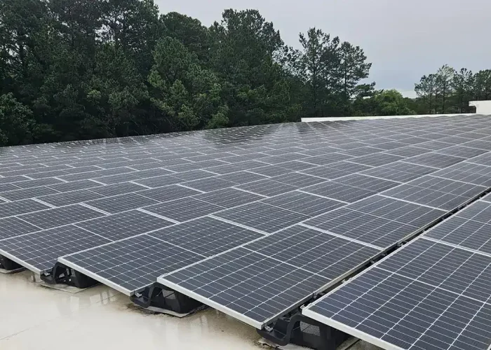 Ess-alpharetta-georgia